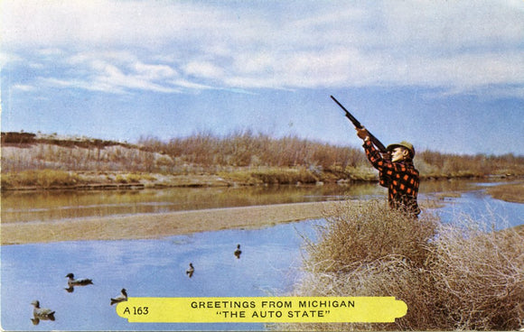 Greetings from Michigan-Carey's Emporium