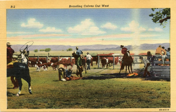 Branding Calves Out West-Carey's Emporium