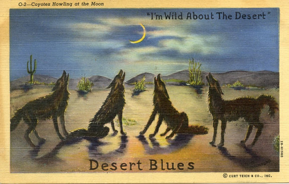 Coyotes Howling at the Moon, I'm Wild About the Desert, Desert Blues-Carey's Emporium