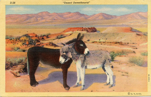 Desert Sweethearts-Carey's Emporium