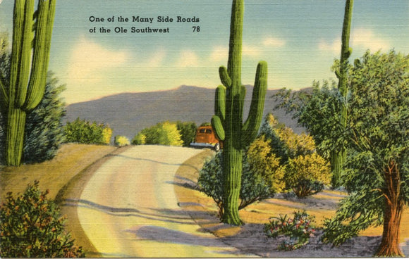 One of the Many Side Roads of the Old Southwest, AZ-Carey's Emporium