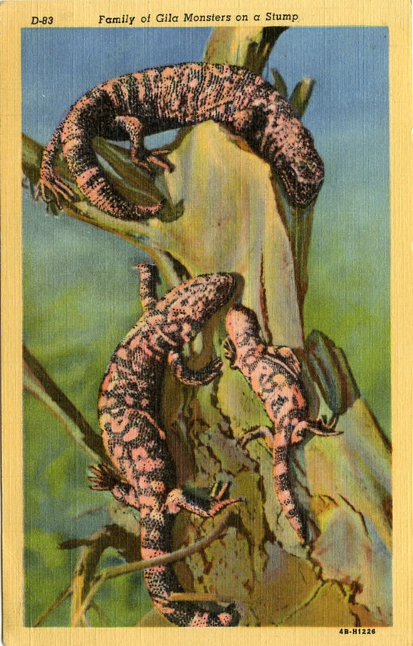 Family of Gila Monsters on a Stump, AZ-Carey's Emporium