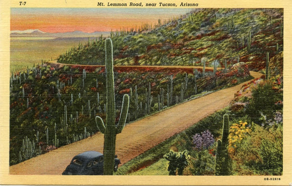 Mt. Lemmon Road, near Tucson, AZ-Carey's Emporium