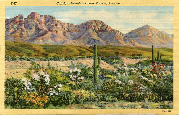 Catalina Mountains, Near Tucson, AZ-Carey's Emporium