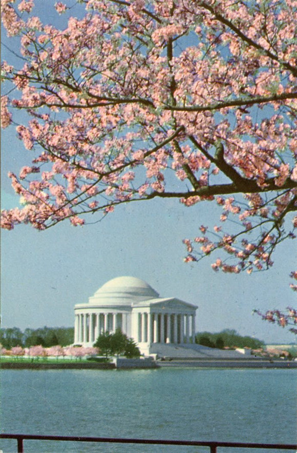 Jefferson Memorial, Washington, DC-Carey's Emporium