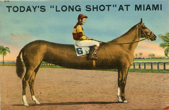 Today's Long Shot, at Miami, FL-Carey's Emporium
