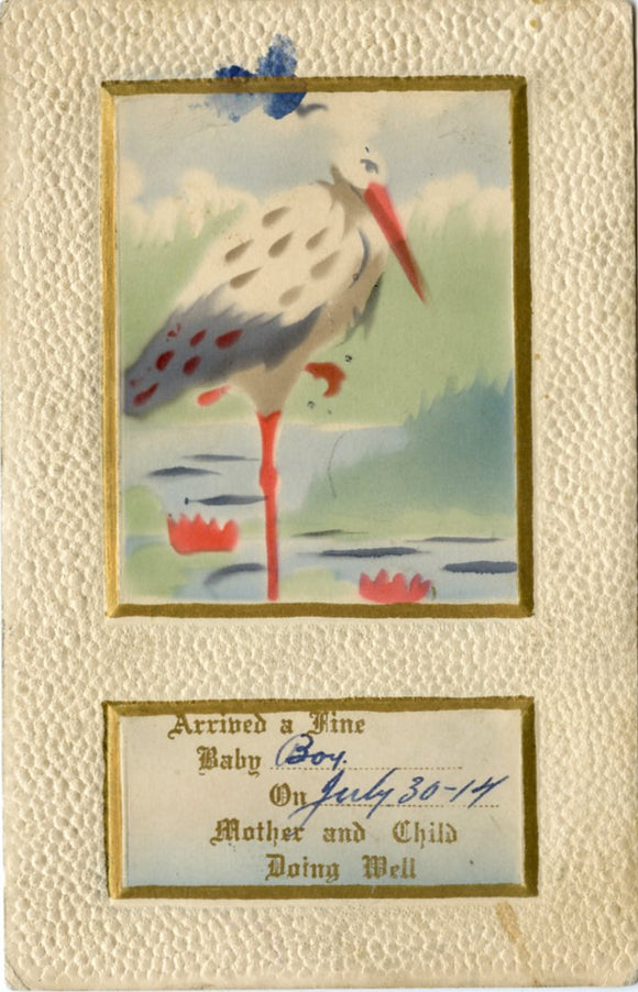 Arrived a Fine Baby Boy, On July 30-14, Mother and Child Doing Well-Carey's Emporium