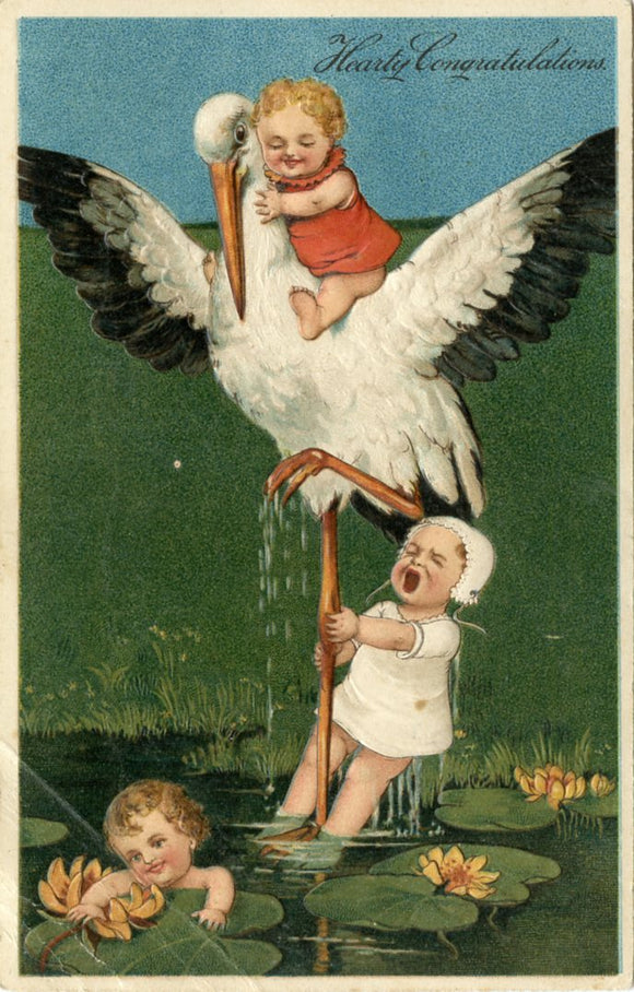 Hearty Congratulations-Carey's Emporium