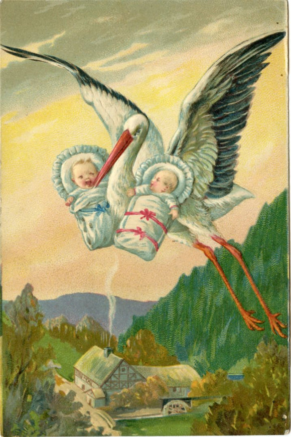 Stork Delivering Babies-Carey's Emporium