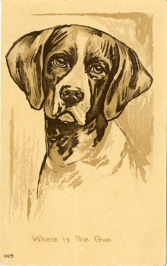 Where is the Gun-Carey's Emporium