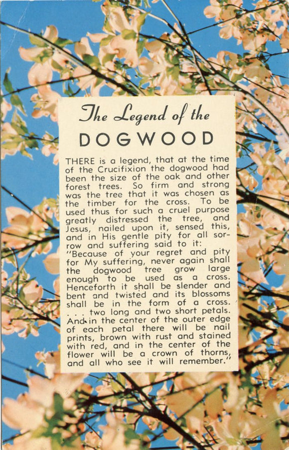 Legend of the Dogwood, Beautiful Dogwood Seen in Full Bloom in the Area of Natural Bridge, VA-Carey's Emporium