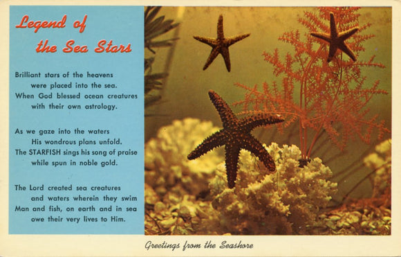 Legend of the Sea Star, Greetings from the Seashore-Carey's Emporium