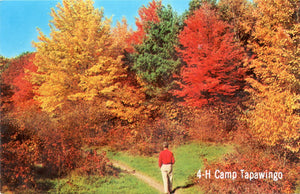 4-H Camp Tapawingo, Mishicot, WI-Carey's Emporium