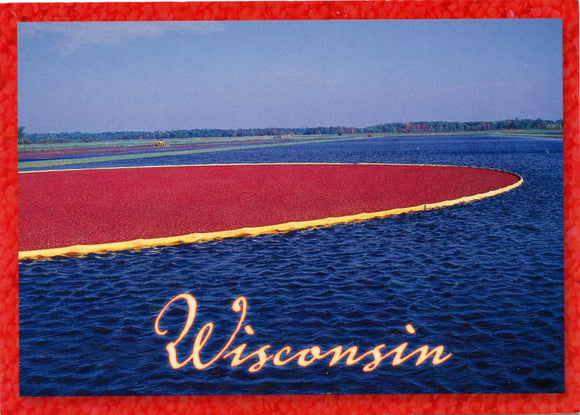 Cranberry Harvesting-Carey's Emporium