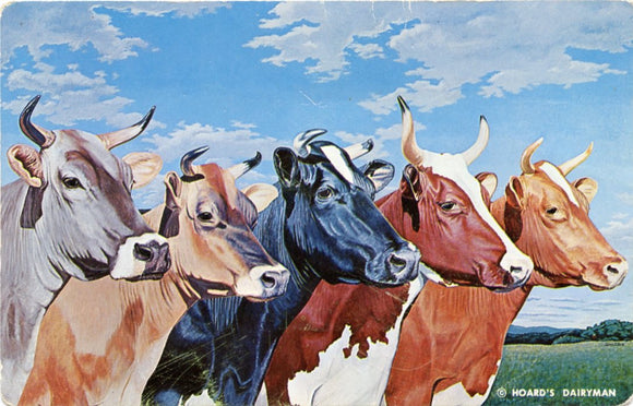 Hoard's Dairyman, Fort Atkinson, WI-Carey's Emporium