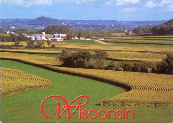 Wisconsin-Carey's Emporium