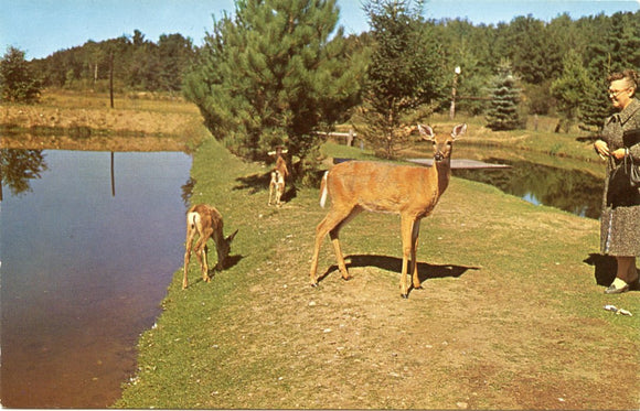 Aqualand, WI-Carey's Emporium