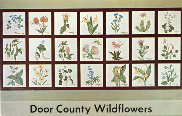 Wildflowers of Door County, WI-Carey's Emporium