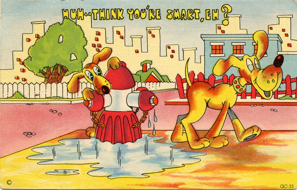 Greetings from Phillips, WI-Carey's Emporium