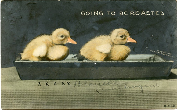 Going to be Roasted-Carey's Emporium