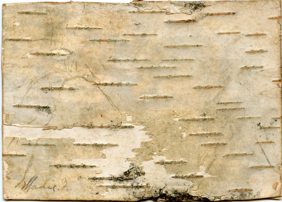 Birch Bark Wooden Postcard-Carey's Emporium