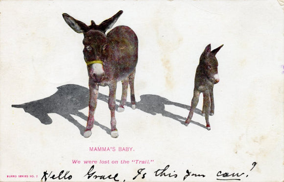 Mamma's Baby, We Were Lost on the Trail-Carey's Emporium