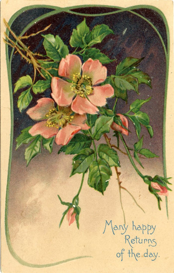 Many Happy Returns of The Day-Carey's Emporium