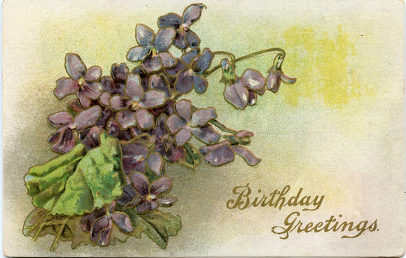 Birthday Greetings-Carey's Emporium
