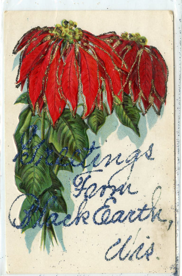 Greetings from Black Earth, WI-Carey's Emporium