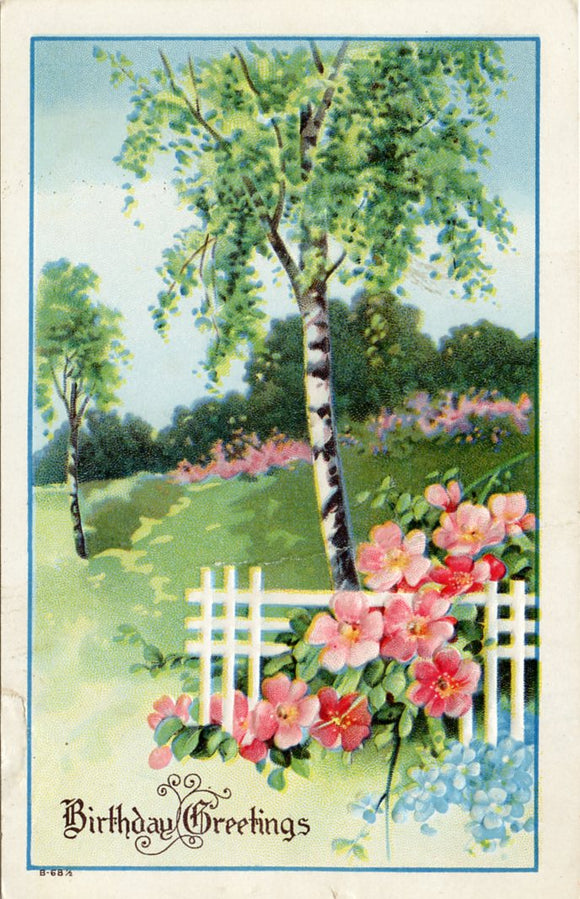 Birthday Greetings-Carey's Emporium