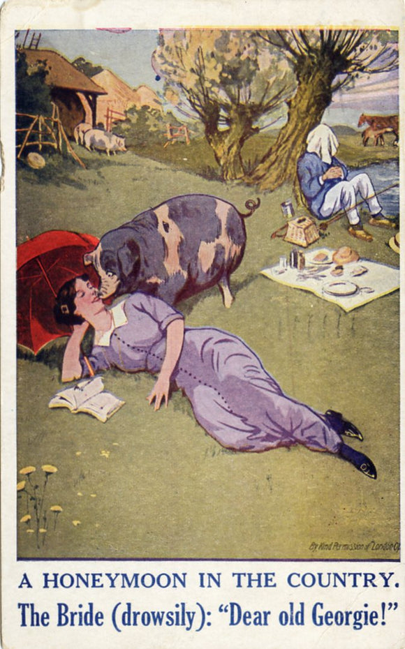 A Honeymoon in the Country, The Bride (Drowsily): Dear old Georgie!-Carey's Emporium