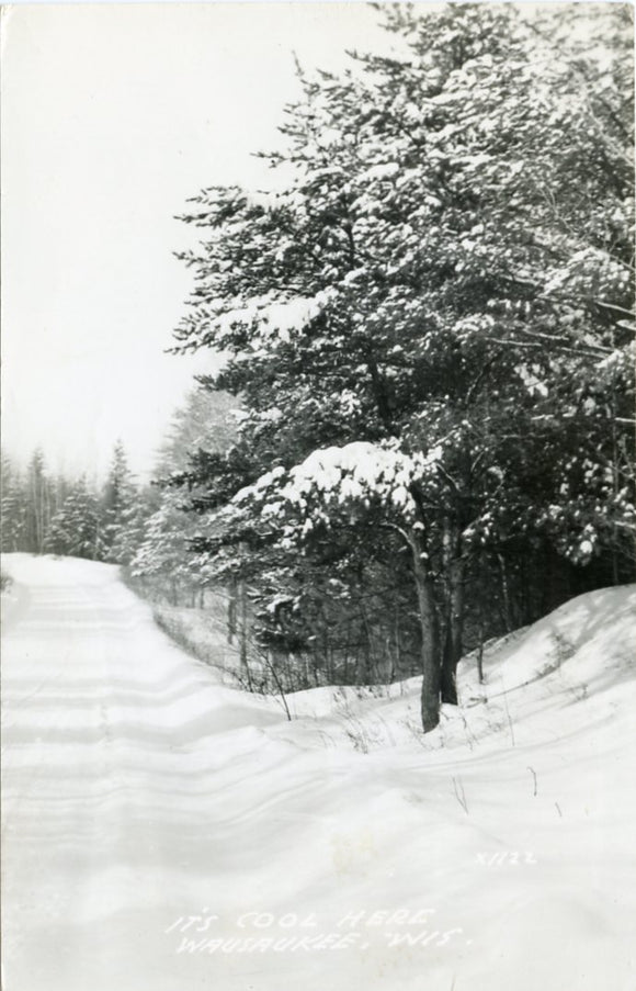 It's Cool Here, Wausaukee, WI-Carey's Emporium