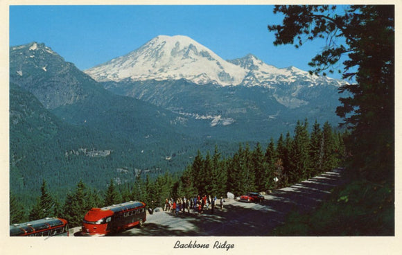 Backbone Ridge, Mt. Rainier National Park, Washington State-Carey's Emporium