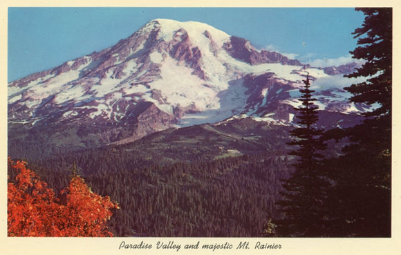 Paradise Valley and Majestic Mt. Rainier, Mt. Rainier National Park, Washington State-Carey's Emporium