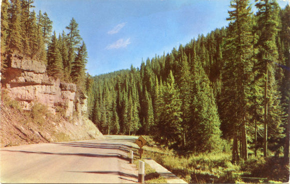 Highway U. S. 85 Through Scenic Upper Spearfish Canyon, Black Hills, SD-Carey's Emporium