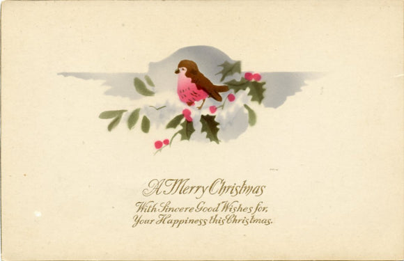 A Merry Christmas-Carey's Emporium