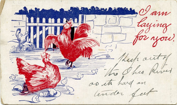 I Am Laying for You-Carey's Emporium