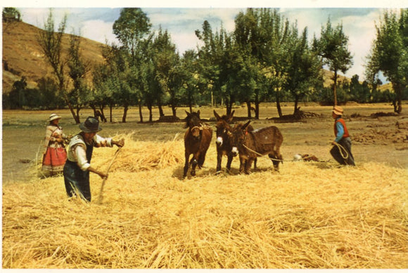 La Trilla, Huancayo, Peru-Carey's Emporium