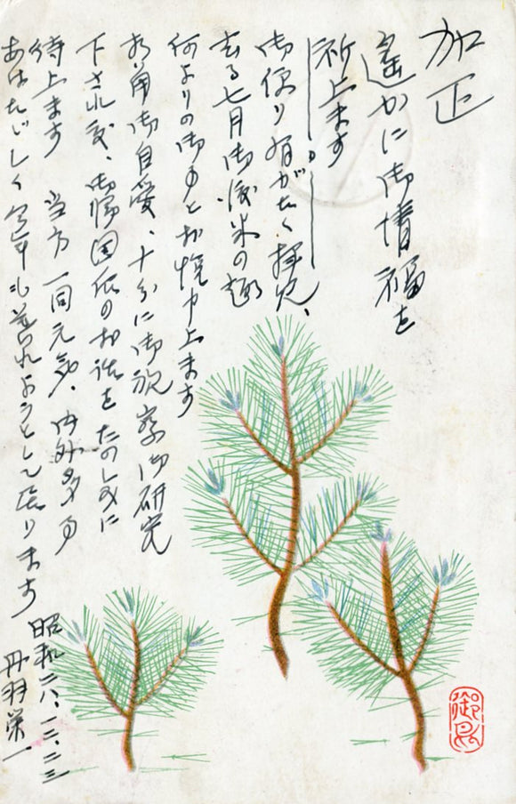 Tokyo, Japan-Carey's Emporium