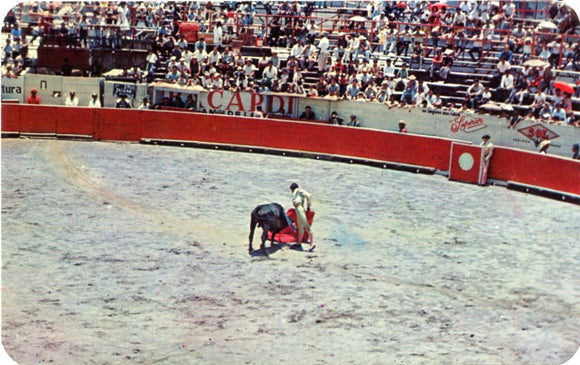 The Bullfight-Carey's Emporium