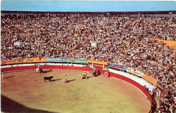 Bullfights in Old Mexico-Carey's Emporium