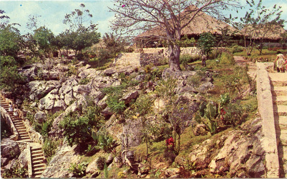Hotel Zaci on the Rocky Walls and Stairs, to go Down to the Water Mirror of the Well of Valladolid, Yucatan, Mexico-Carey's Emporium