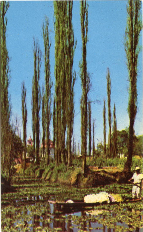 Xochimilco, Floating Gardens, Mexico, D. F.-Carey's Emporium