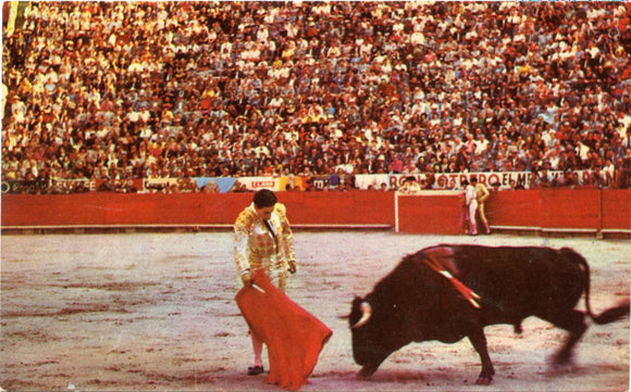 Toros en Mexico, Mexico, D. F.-Carey's Emporium