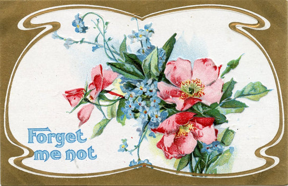 Forget Me Not-Carey's Emporium