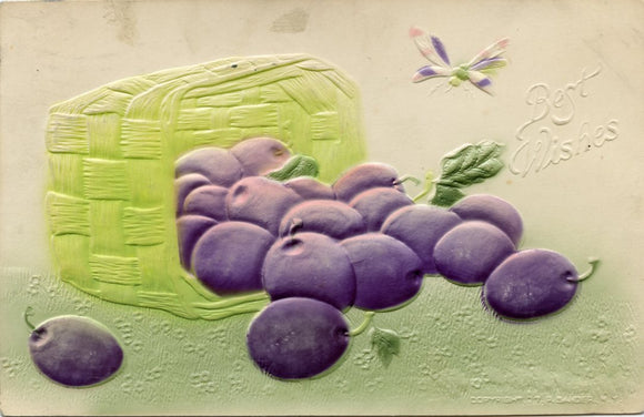 Best Wishes-Carey's Emporium