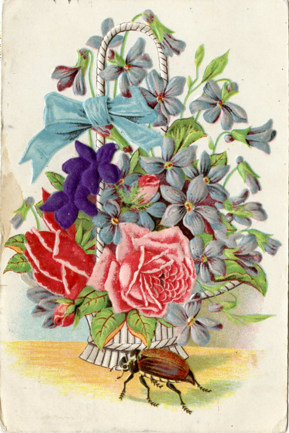 Flower Arrangement and Beetle-Carey's Emporium