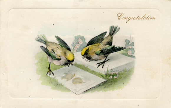 Congratulations-Carey's Emporium