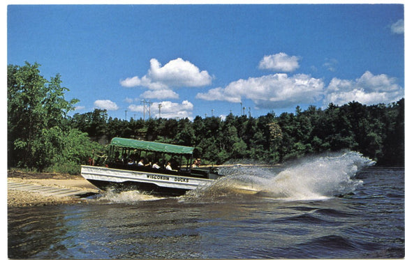 Duck Entering Wisconsin River, Wisconsin Dells, WI-Carey's Emporium