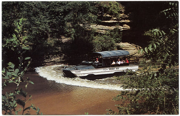 Duck Going Through Dell Creek, Ride the Original Wisconsin Ducks, Wisconsin Dells, WI-Carey's Emporium